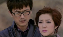 贤妻良母电视剧,演绎家庭和谐的艺术