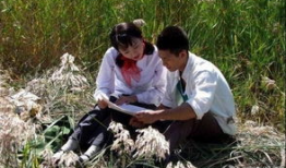 青谷子电视剧,青春岁月里的奋斗传奇